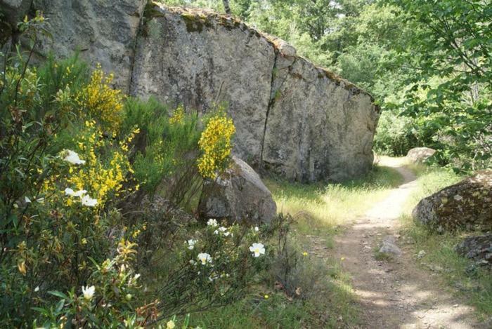Casa Rural Cabeza Lobera Villanueva de Avila Esterno foto